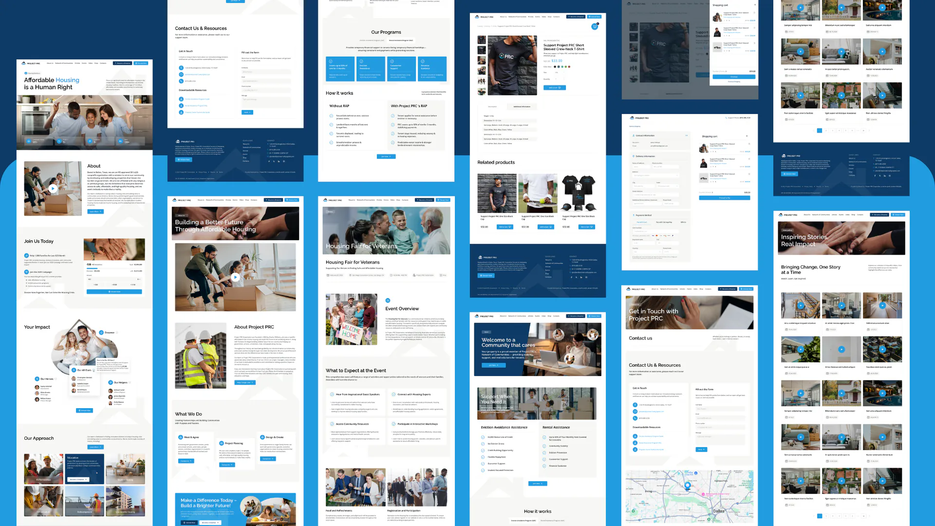 Project PRC – WordPress/Elementor Nonprofit Website — screenshot 2