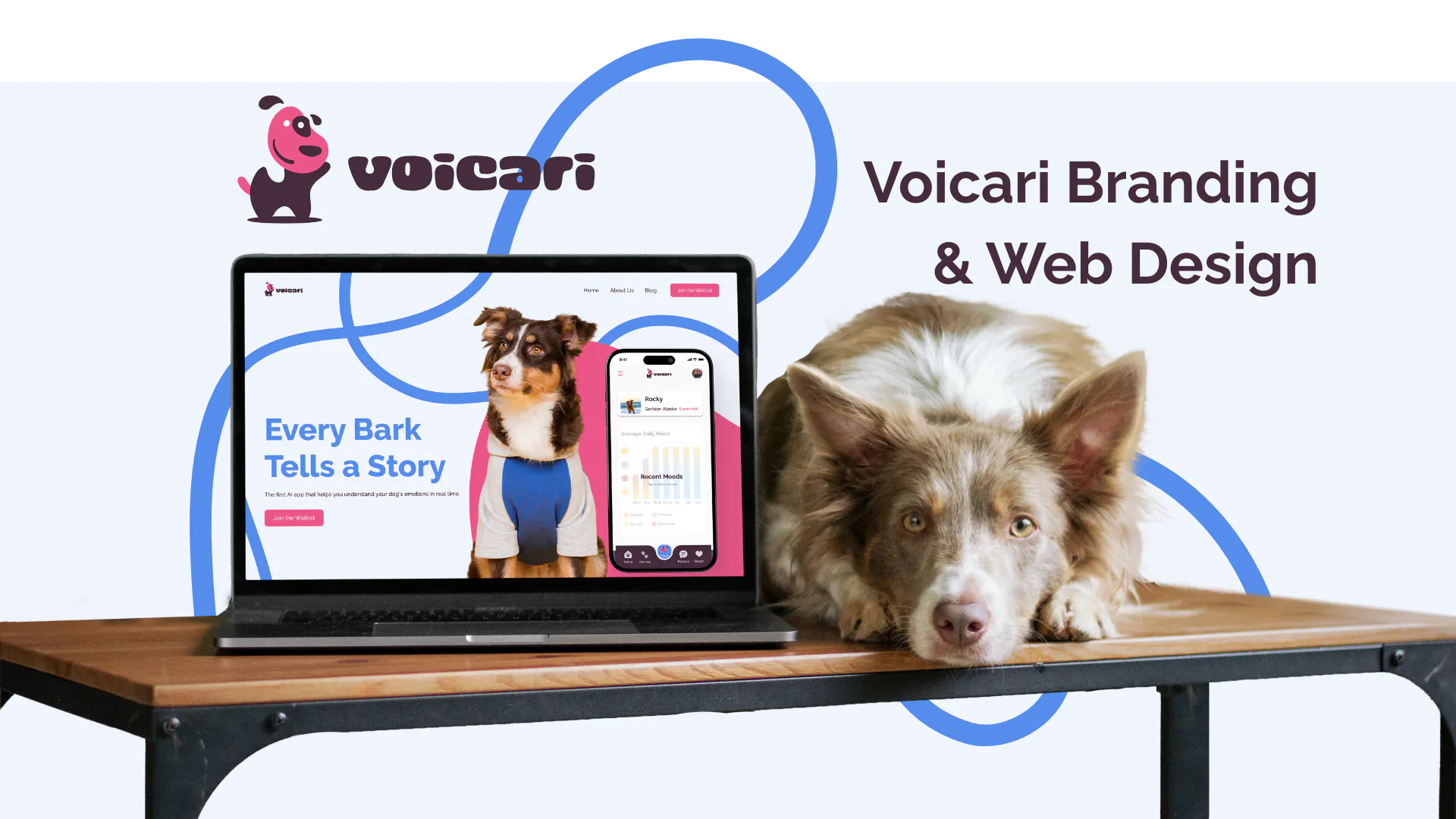 Voicari